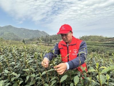 重点通报！外烟独家供应厂家“地动山摇”