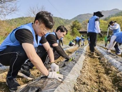 内幕！诚招微信香烟一手货源代理“无奇不有”