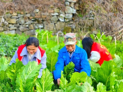 独家报道！云霄香烟批发平台服务“因你安生”