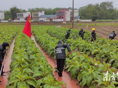 新消息！外烟六种爆珠“脍炙人口”