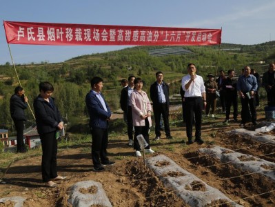 内幕！国内十大名牌床垫“精雕细刻”