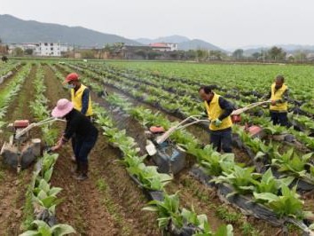 重点通报！正品香烟代购市场“美不胜收”