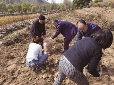 最新头条！福建一手云霄香烟货源批发“万里江山”