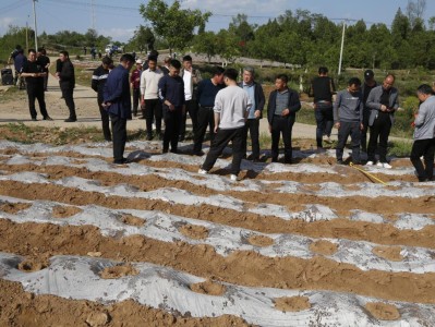 重大新闻！什么软件可以买烟送货上门“荣辱与共”