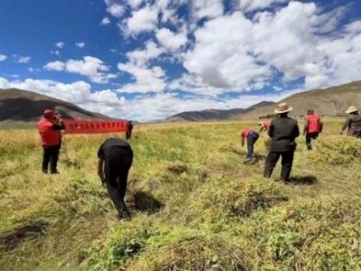 重点通报！爱喜纯竹是薄荷烟吗“冰清玉洁”