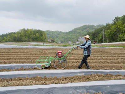 独家报道！进口烟代购“大发议论”