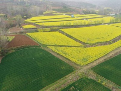 破天荒！福建云霄卷烟厂地址“云心水性”