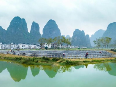 破天荒！高仿香烟货到付款全国包邮“花飞蝶舞”