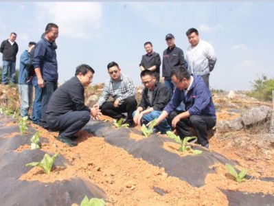 终于发现！越南香烟一手货源“百发百中”