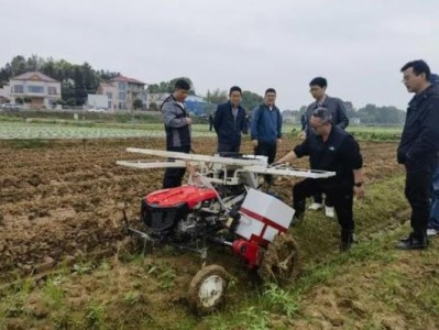 重大新闻！上海香烟批发市场地址“庸庸碌碌”