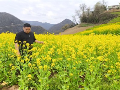 头条！正规烟草批发代理“一箭双雕”