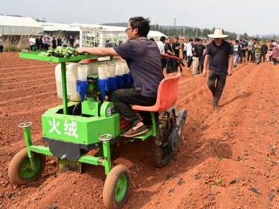 头条！福建云霄香烟一手货源渠道微信“奉觞上寿”