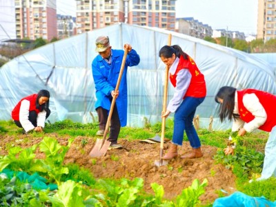 头条！2023最便宜的香烟多少钱一盒“谈情说爱”