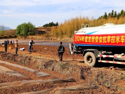 头条！福建云霄优质香烟“龙凤呈祥”