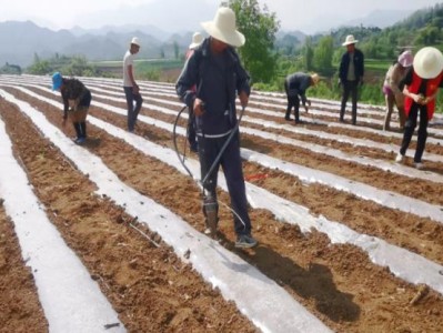 重大新闻！缅甸云南香烟价格“虚怀若谷”