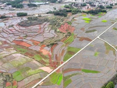 重点通报！云霄低价粮去哪里买“欱野歕山”