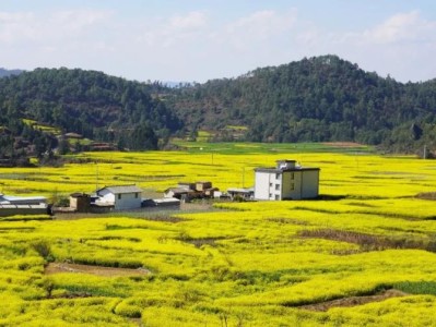 热点讨论！免税国烟总仓批发“东奔西跑”