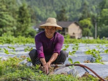 头条！广西越南外烟一手货源批发“人中之龙”